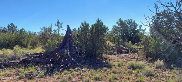 $110,000 | 6863 North State Route 64, Williams, AZ 86046