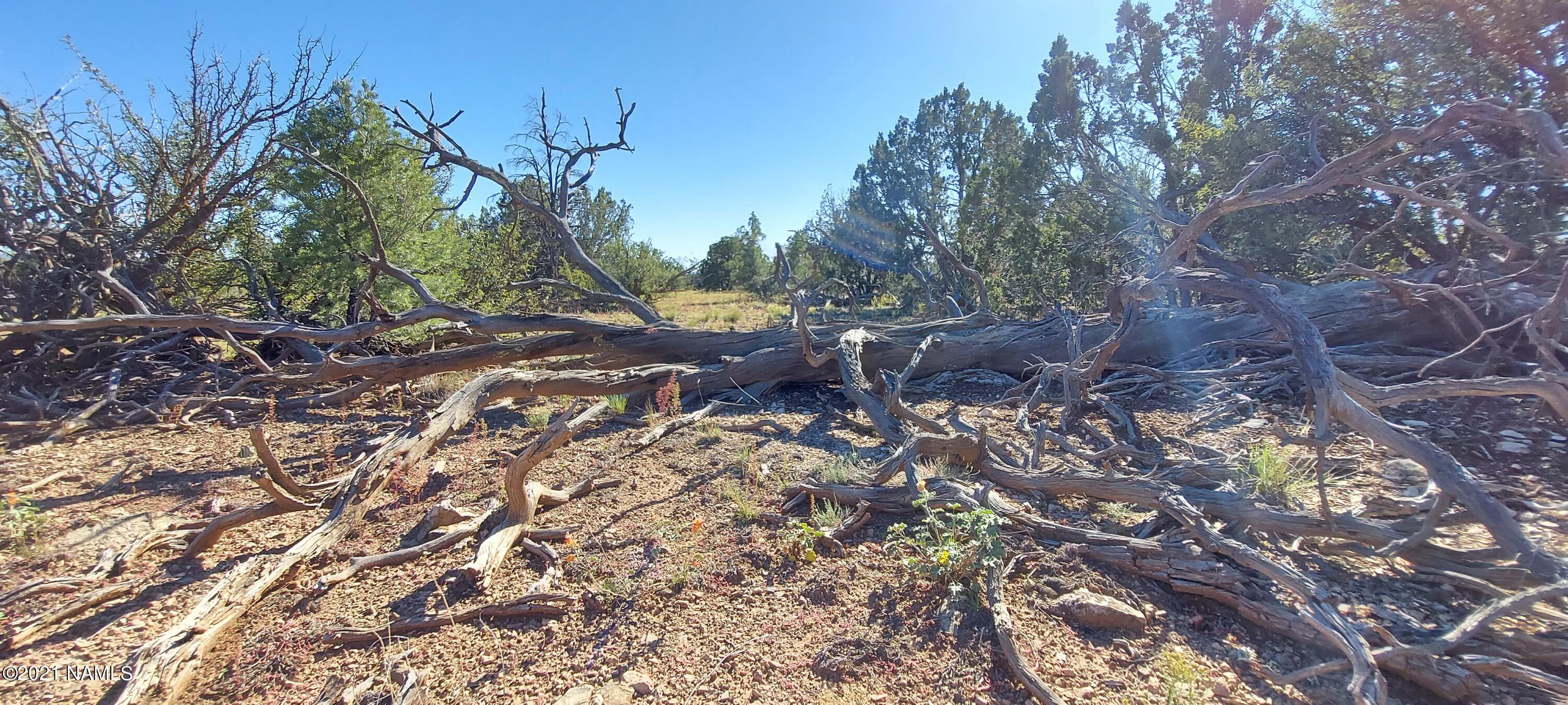 6863 North State Route 64 Williams, AZ 86046 - Photo 7 of 98 20211009_144800