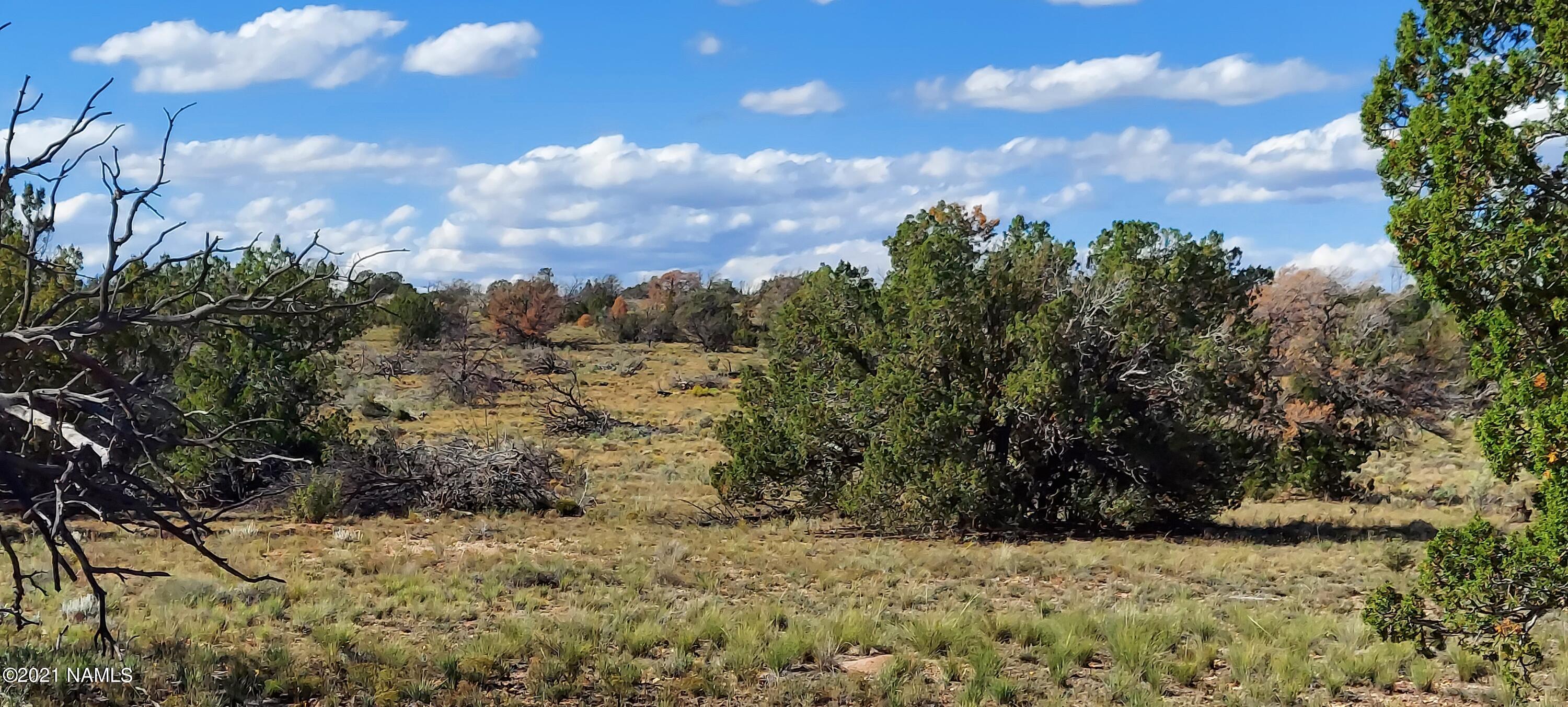 6863 North State Route 64 Williams, AZ 86046 - Photo 71 of 98 20211009_144141