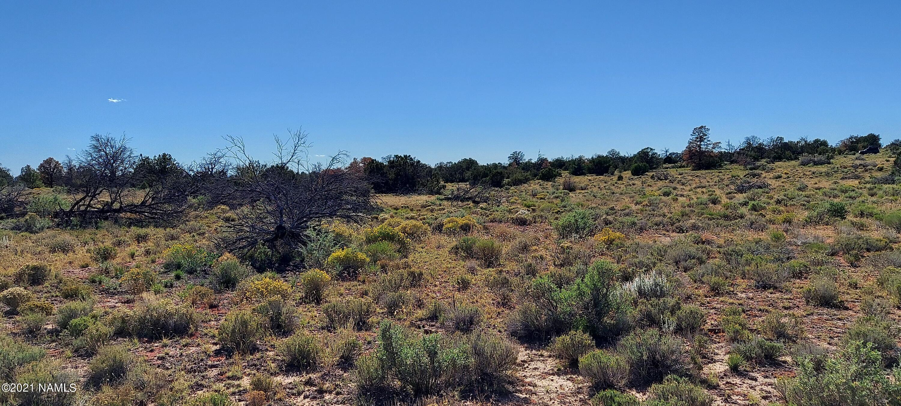 6863 North State Route 64 Williams, AZ 86046 - Photo 74 of 98 20211009_143905