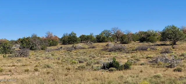 $110,000 | 6863 North State Route 64, Williams, AZ 86046