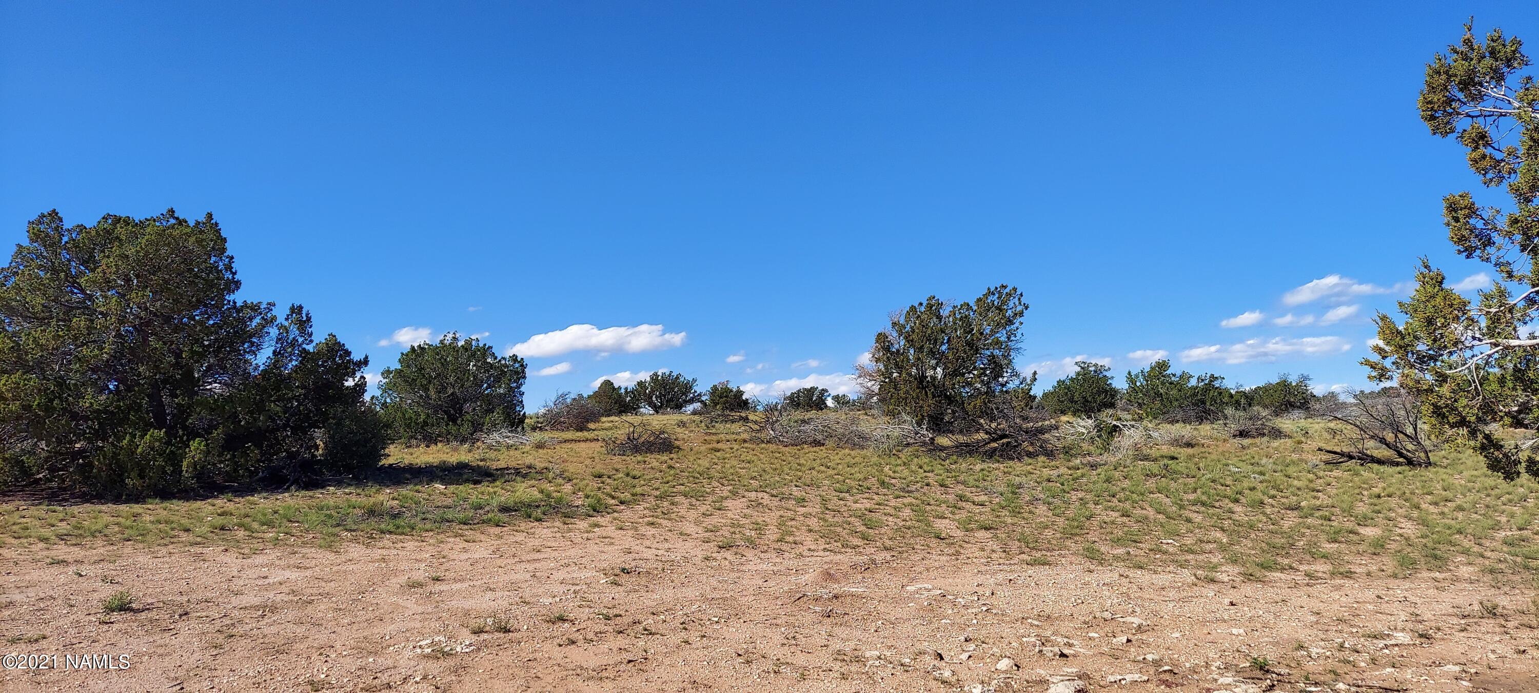 6863 North State Route 64 Williams, AZ 86046 - Photo 81 of 98 20211009_141723