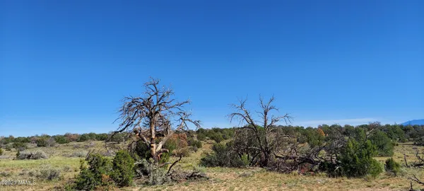 $110,000 | 6863 North State Route 64, Williams, AZ 86046
