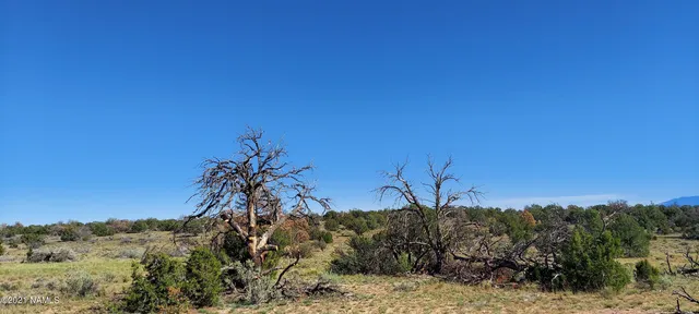 $110,000 | 6863 North State Route 64, Williams, AZ 86046