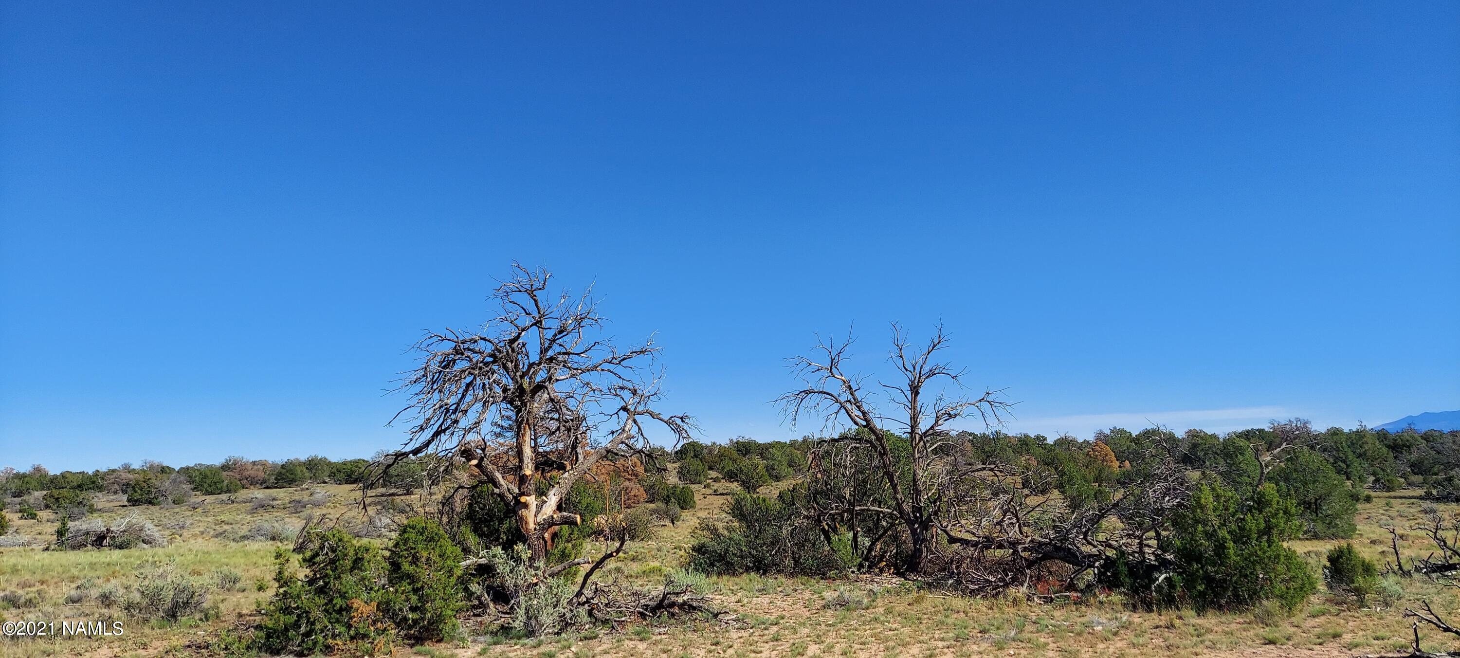 6863 North State Route 64 Williams, AZ 86046 - Photo 83 of 98 20211009_141623