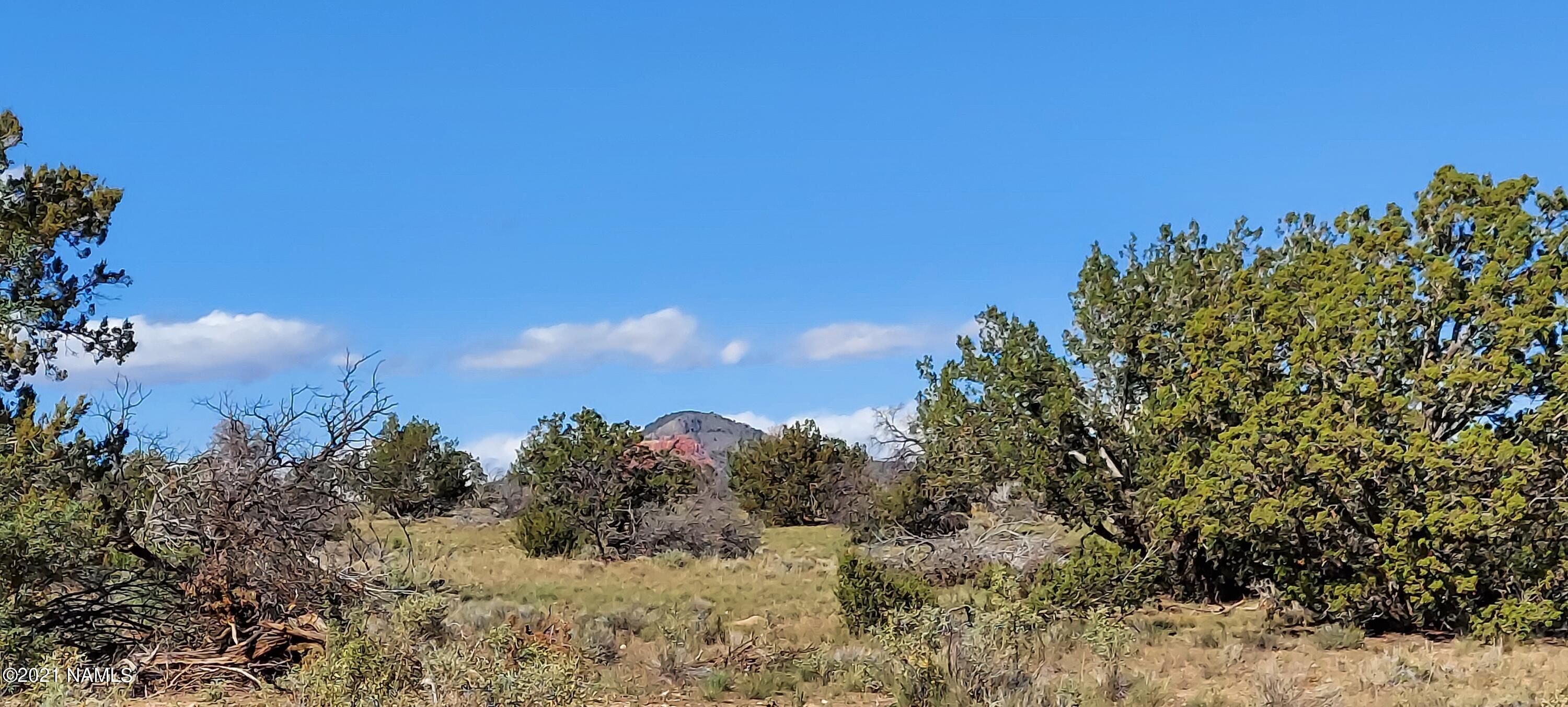 6863 North State Route 64 Williams, AZ 86046 - Photo 88 of 98 20211009_141358