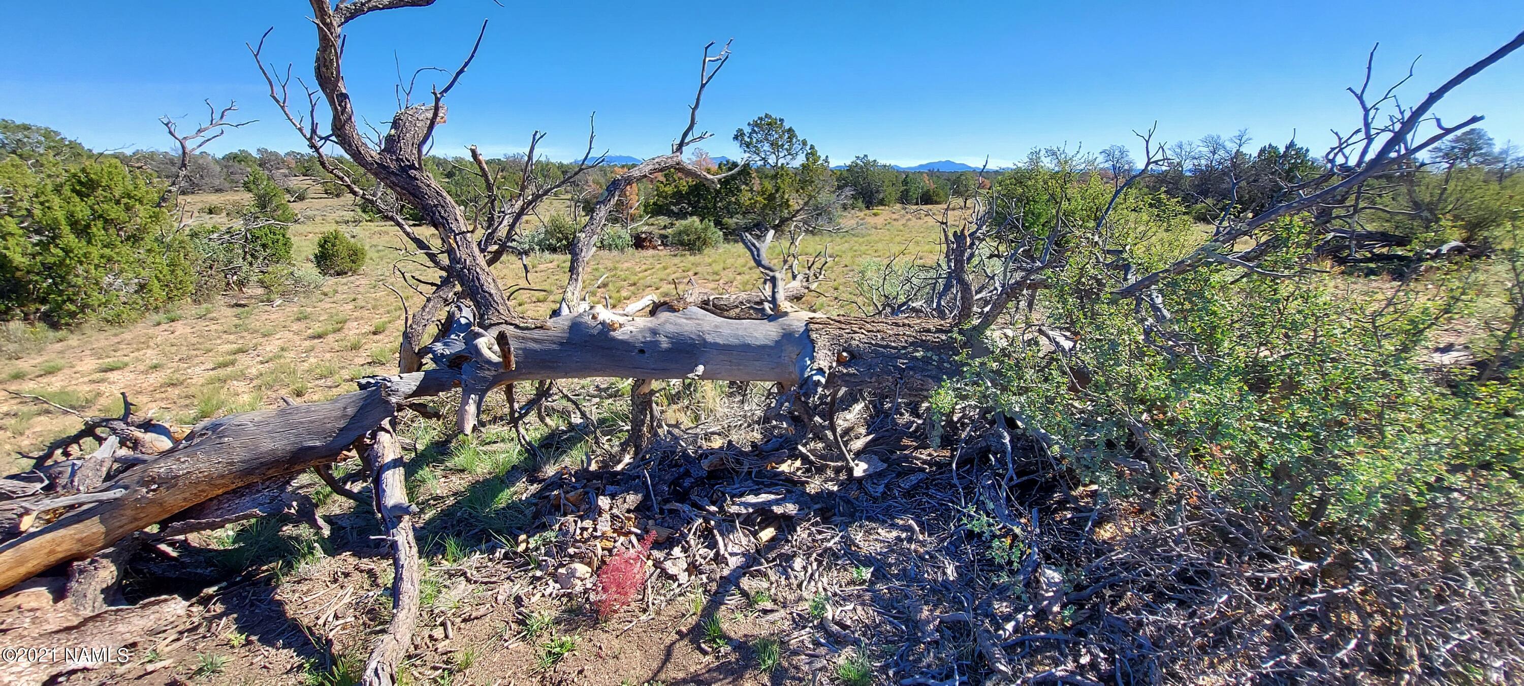 6863 North State Route 64 Williams, AZ 86046 - Photo 89 of 98 20211009_141300