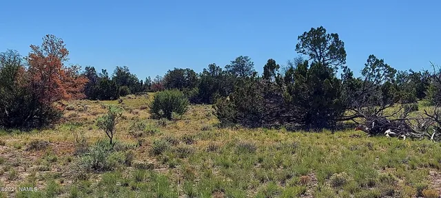 $110,000 | 6863 North State Route 64, Williams, AZ 86046