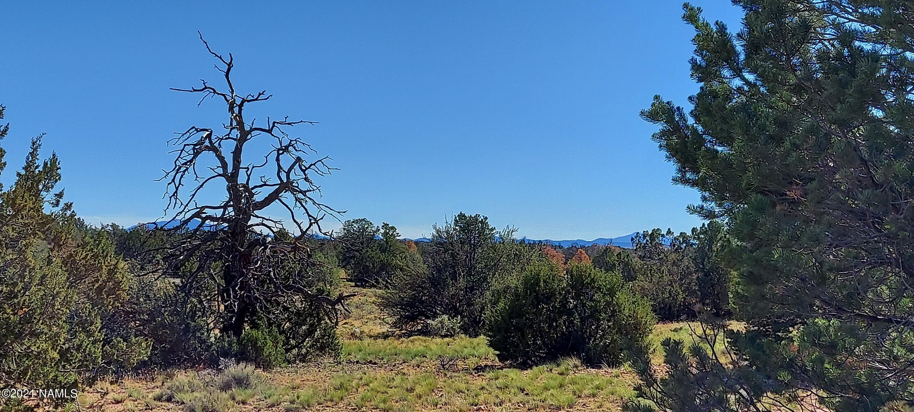 6863 North State Route 64 Williams, AZ 86046 - Photo 91 of 98 20211009_141140