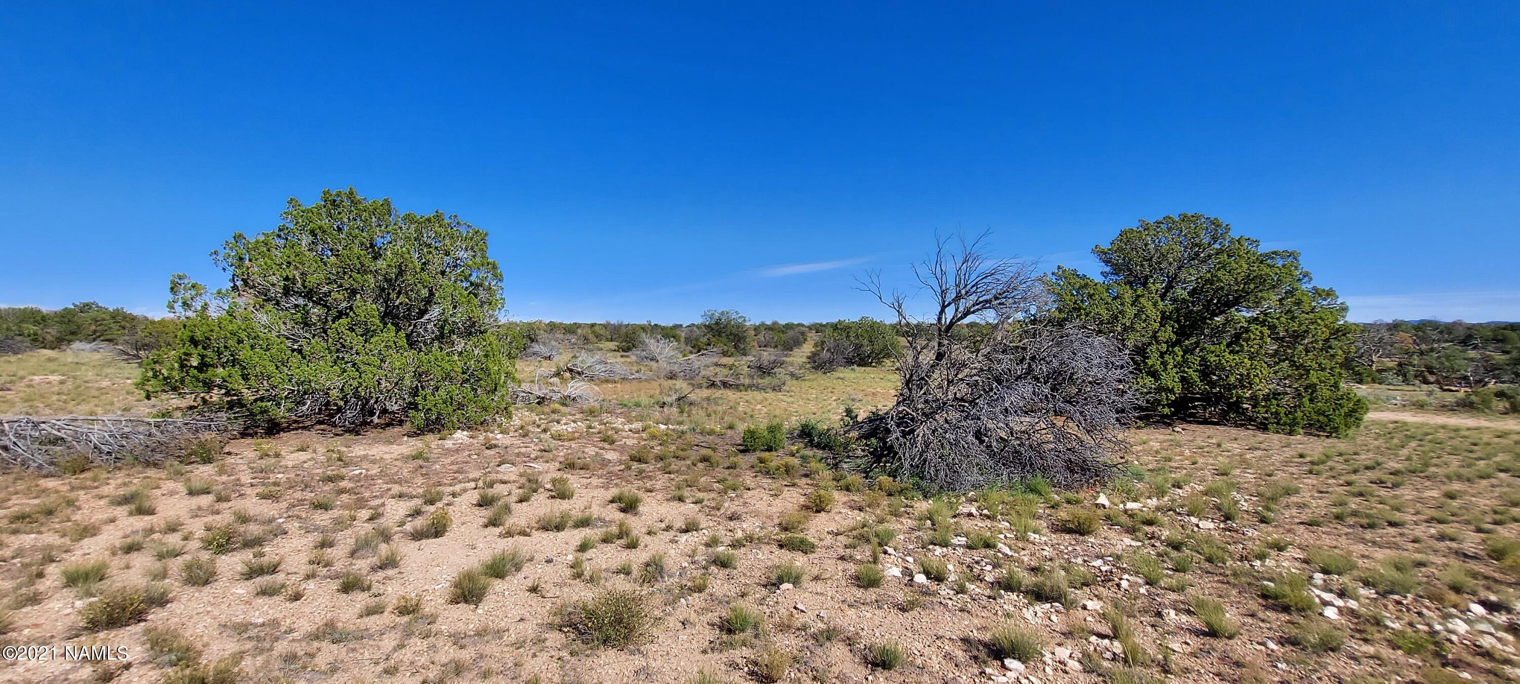 6863 North State Route 64 Williams, AZ 86046 - Photo 95 of 98 20211009_140029