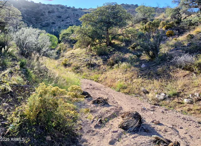 a view of lake with sunset