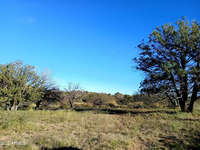 a view of a yard with a tree