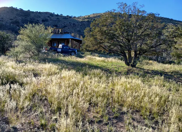 a view of a garden with a lake