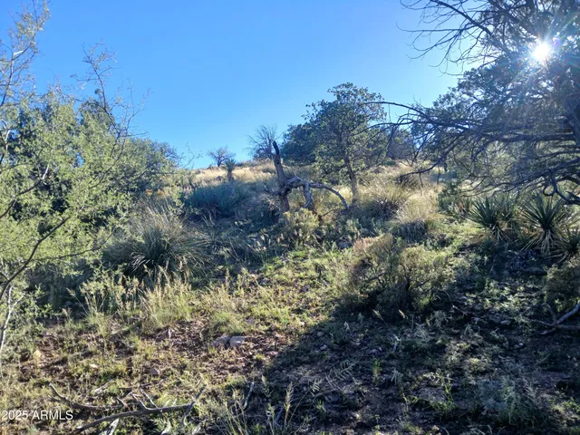 a view of a large building with a mountain in the background