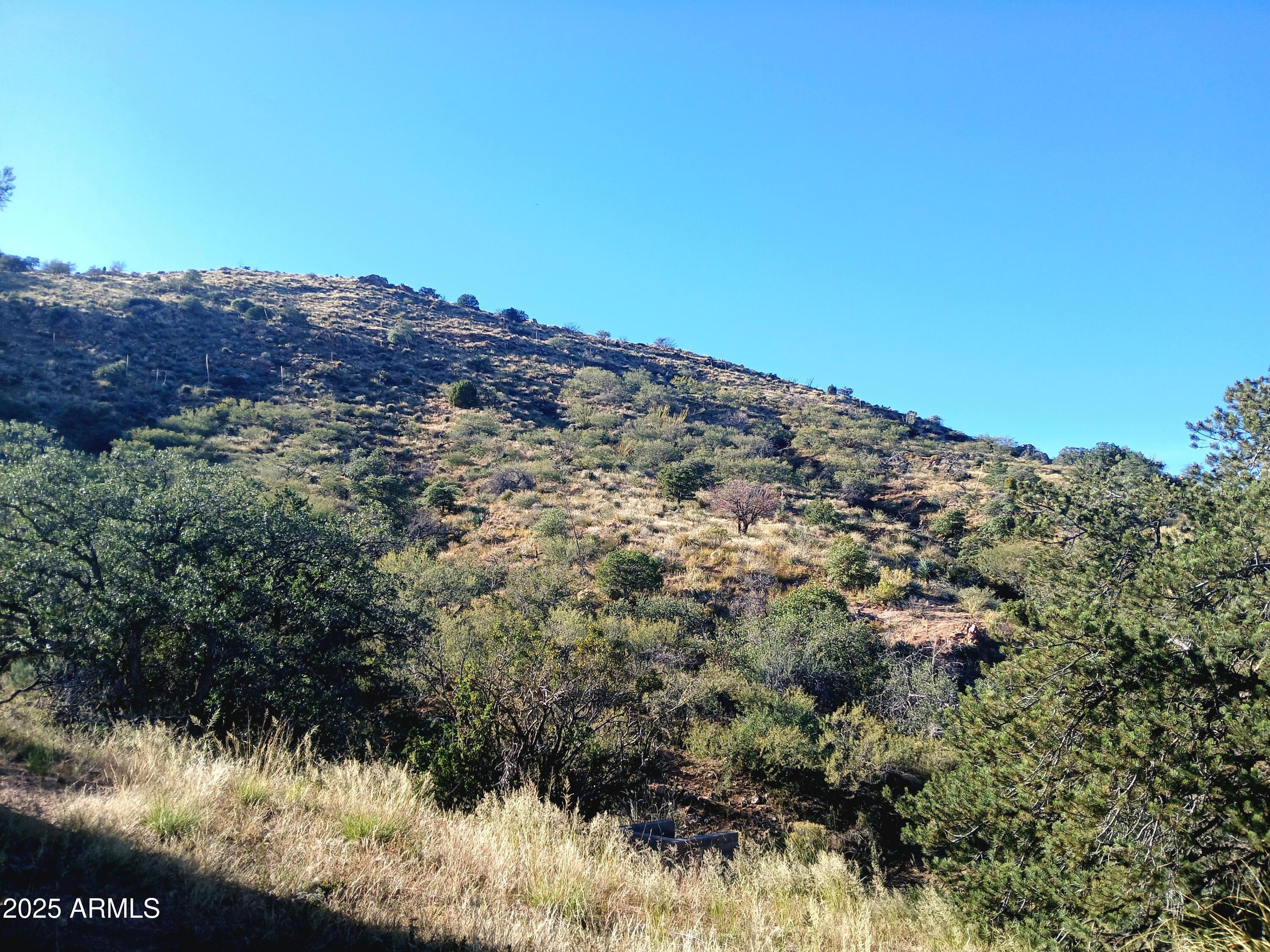 11699 North Last Chance Road Elfrida, AZ 85610 - Photo 24 of 39 a view of a large building with a mountain in the background