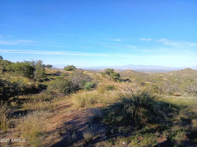 a view of a dry field