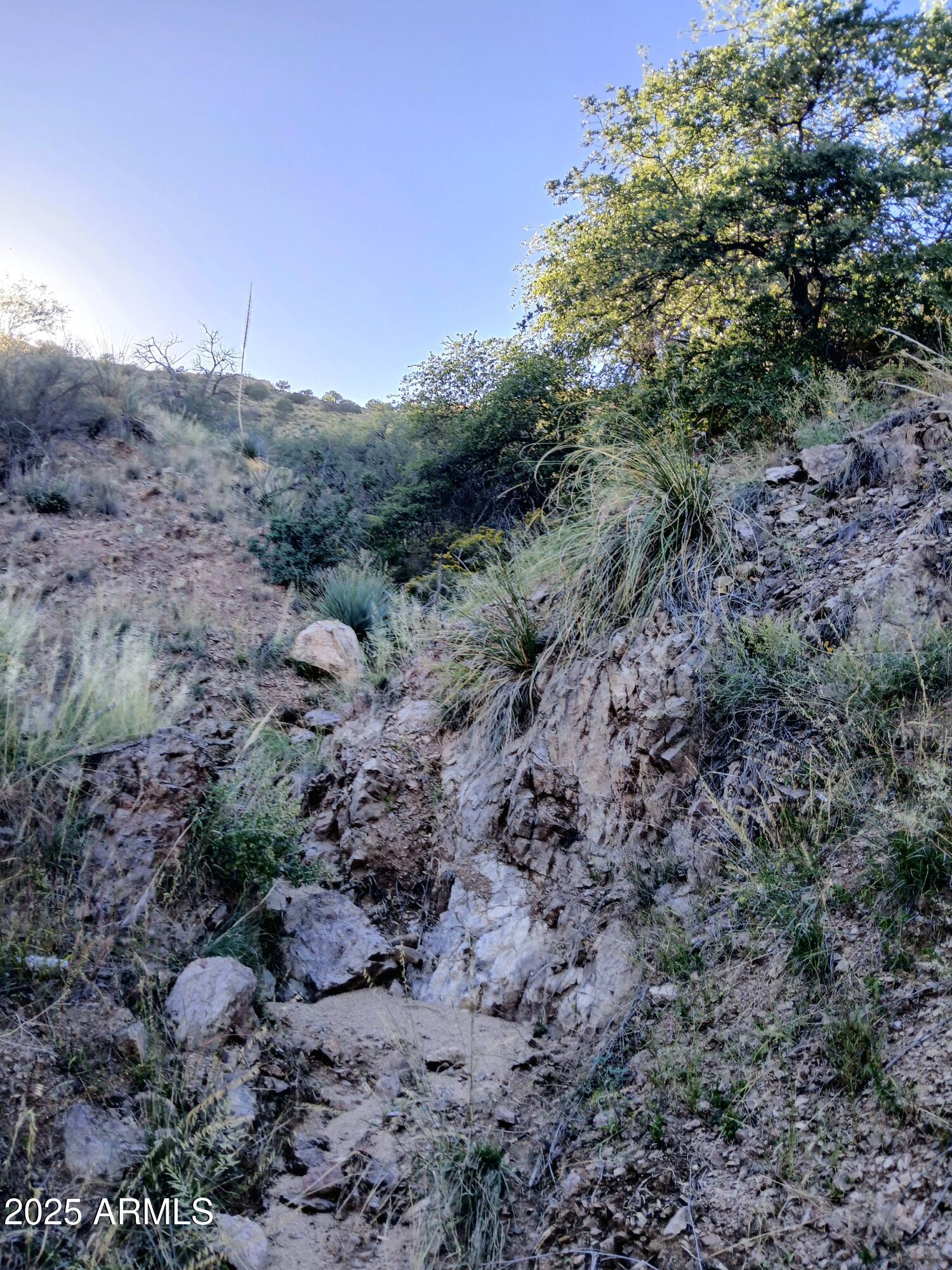 11699 North Last Chance Road Elfrida, AZ 85610 - Photo 28 of 39 a view of a dry field