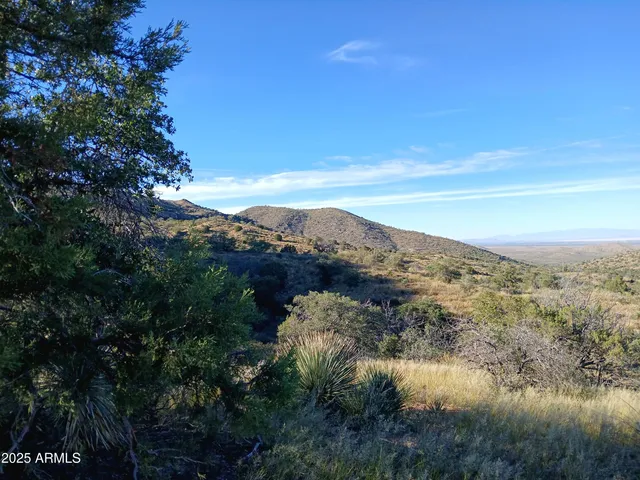 a view of a lake in middle of forest