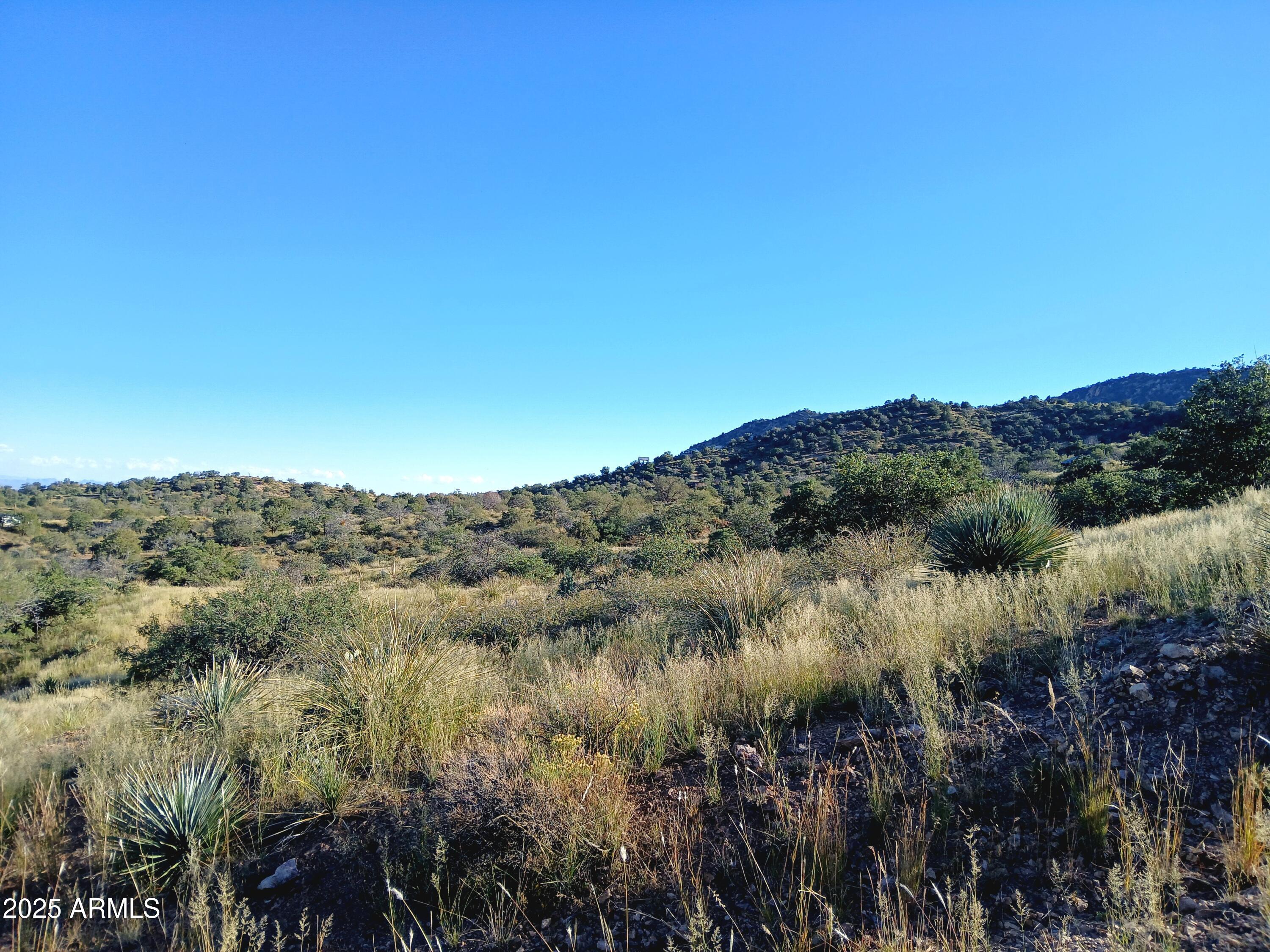 11699 North Last Chance Road Elfrida, AZ 85610 - Photo 30 of 39 a view of a lake in middle of forest