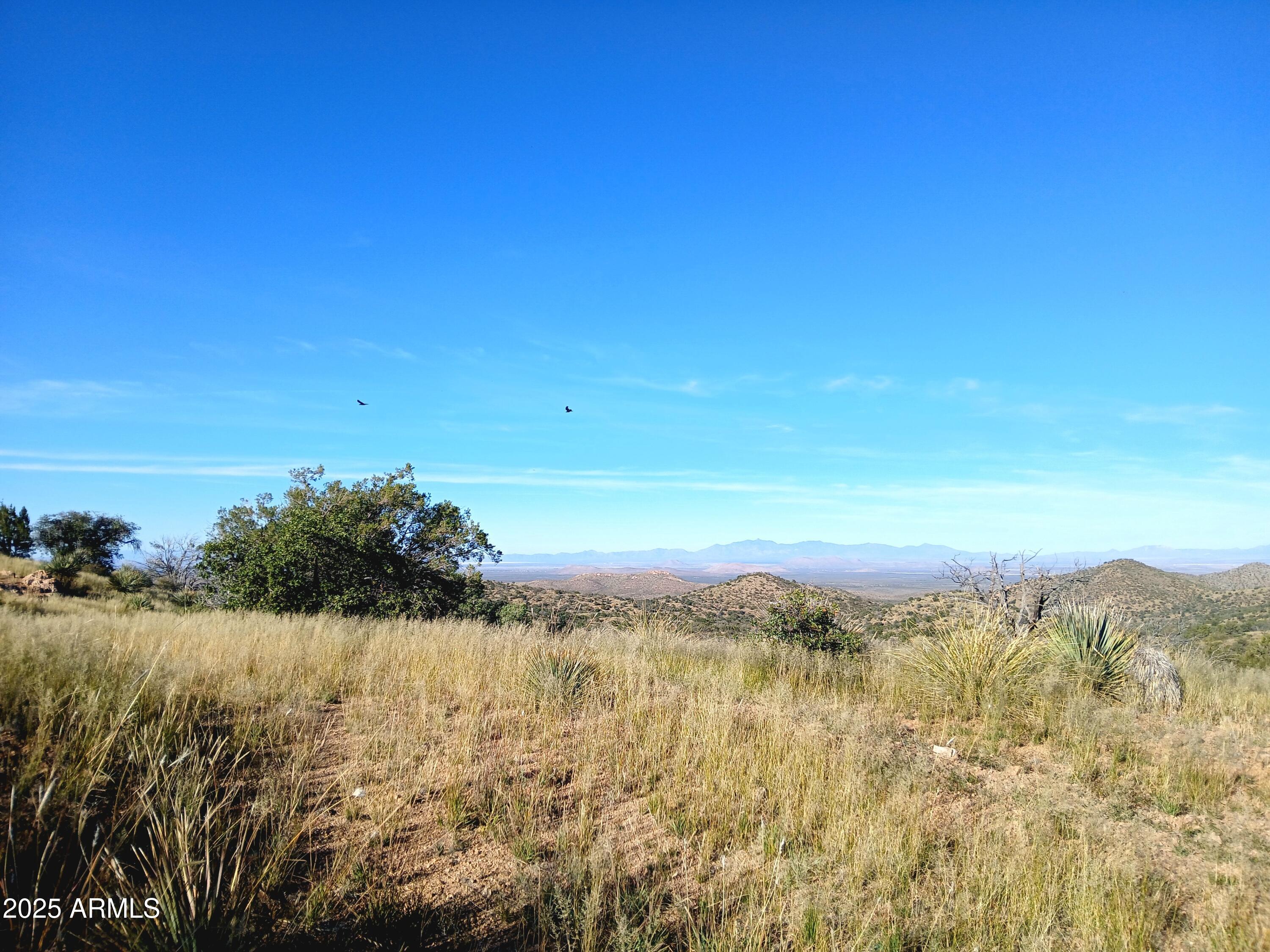 11699 North Last Chance Road Elfrida, AZ 85610 - Photo 32 of 39 a view of lake and mountain