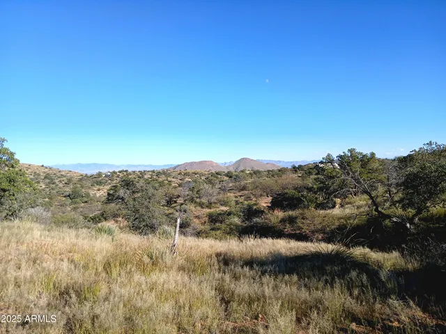 a view of a bunch of trees in a field