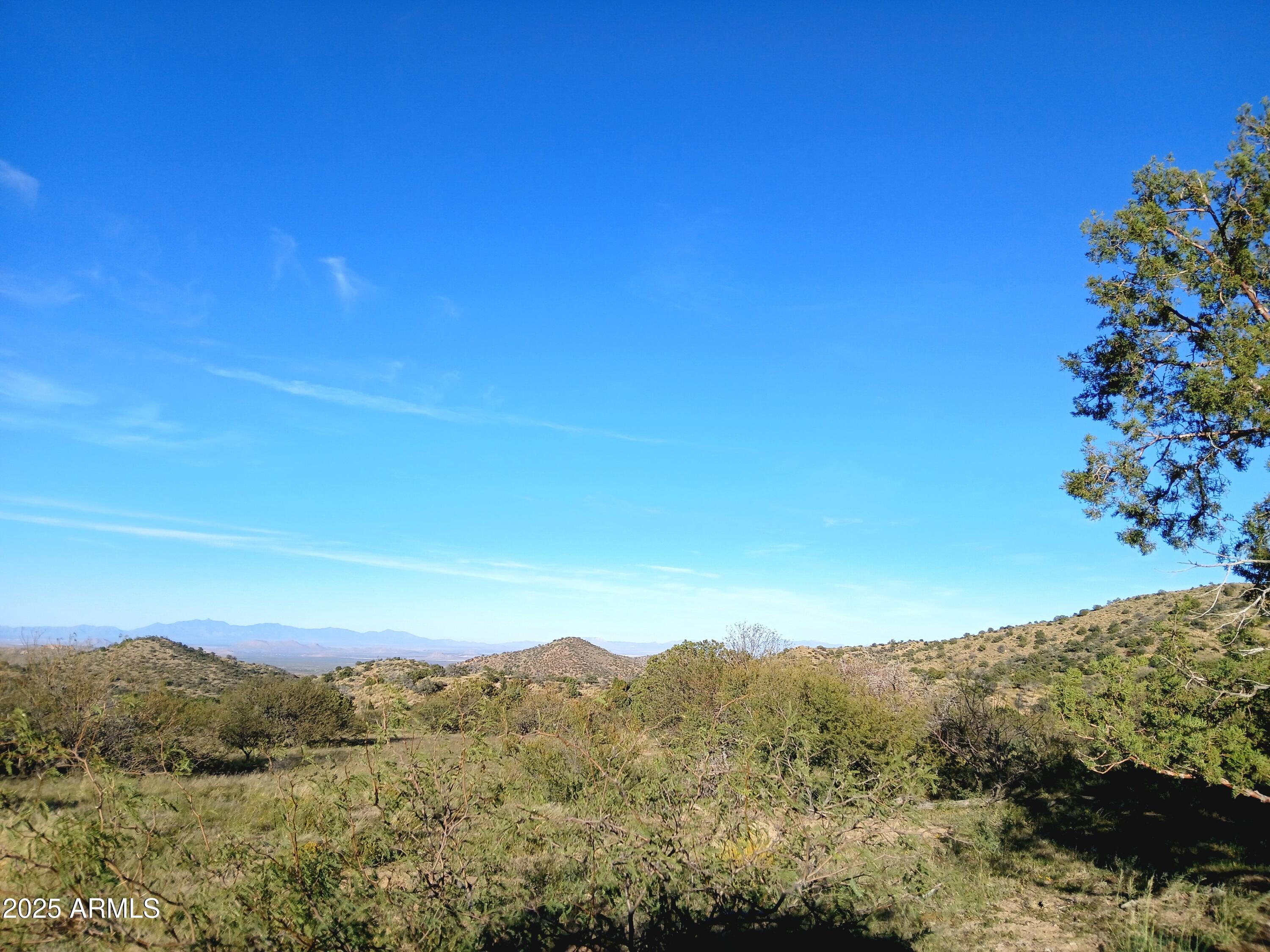 11699 North Last Chance Road Elfrida, AZ 85610 - Photo 35 of 39 a view of a mountain