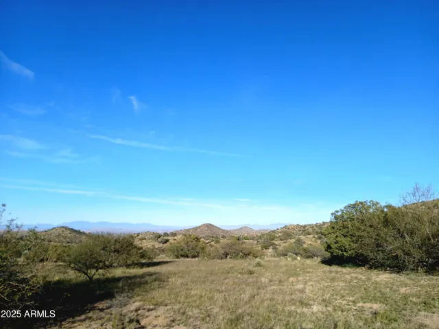 a view of a yard with an outdoor space