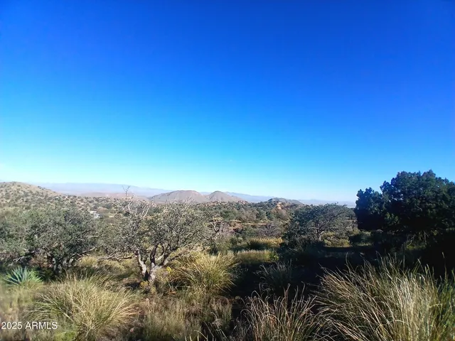 a view of a lake with a city