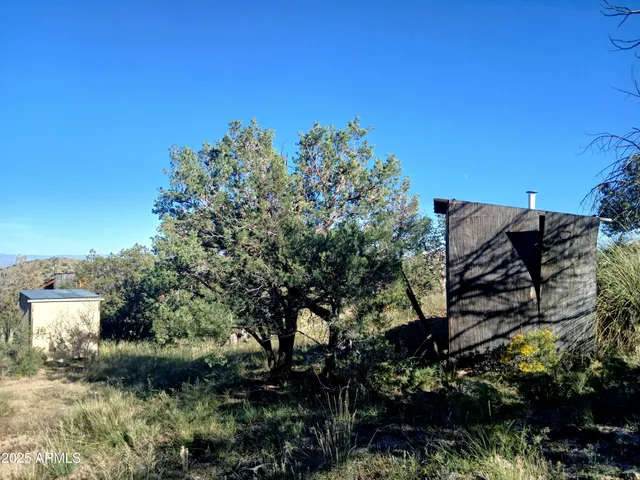 a view of a tree with a yard