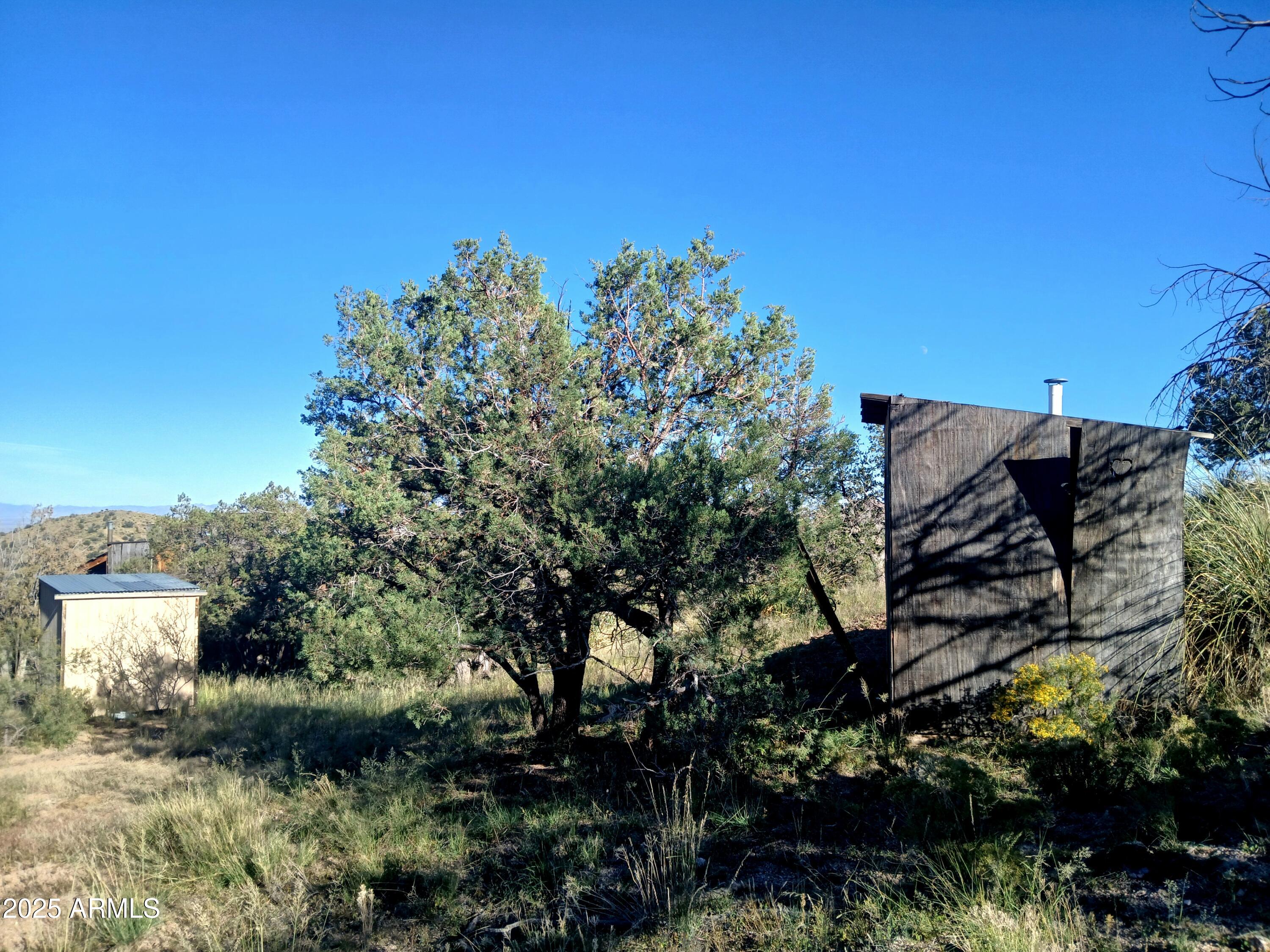 11699 North Last Chance Road Elfrida, AZ 85610 - Photo 5 of 39 a view of a tree with a yard