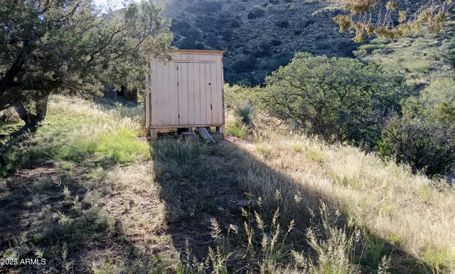 a view of a yard covered with trees