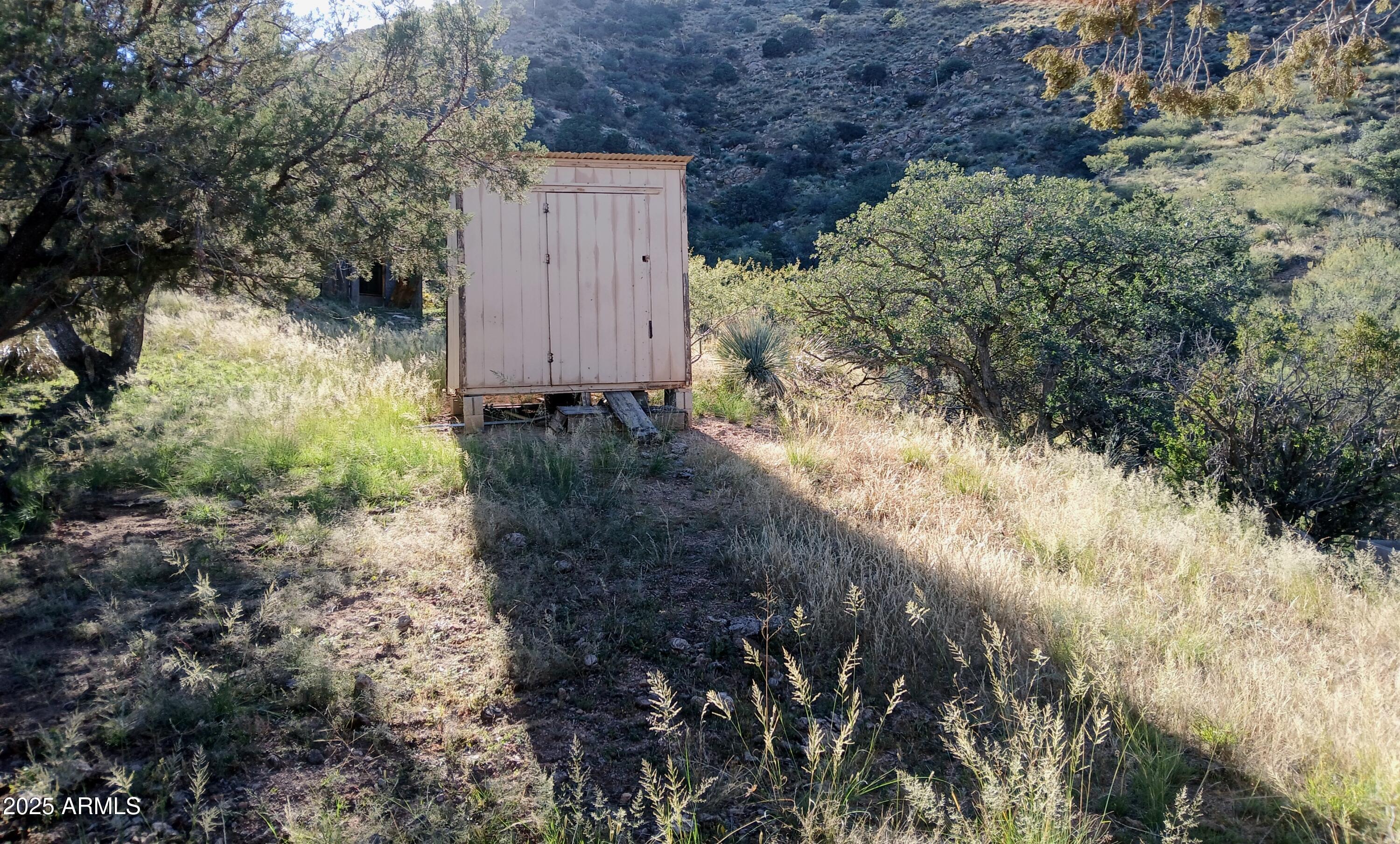 11699 North Last Chance Road Elfrida, AZ 85610 - Photo 6 of 39 a view of a yard covered with trees
