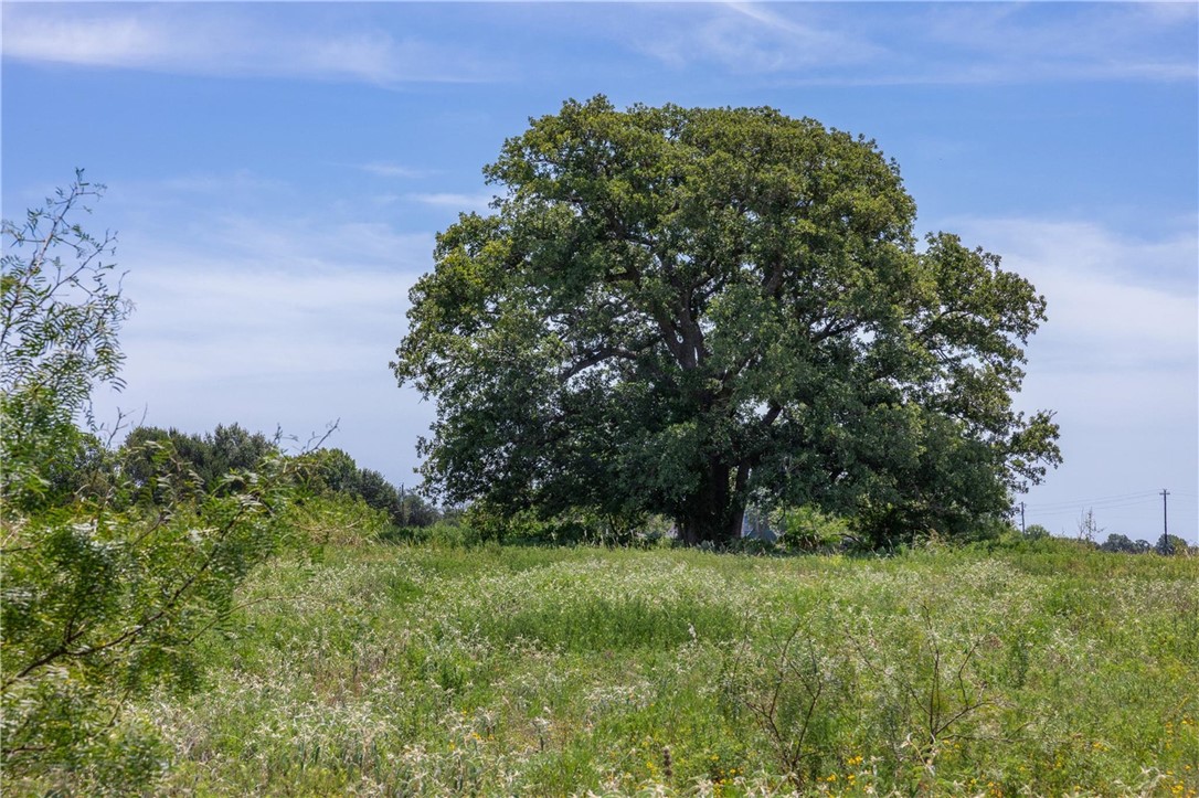 801 Allison Avenue Groesbeck, TX 76642 - Photo 3 of 9 a view of a lush green space