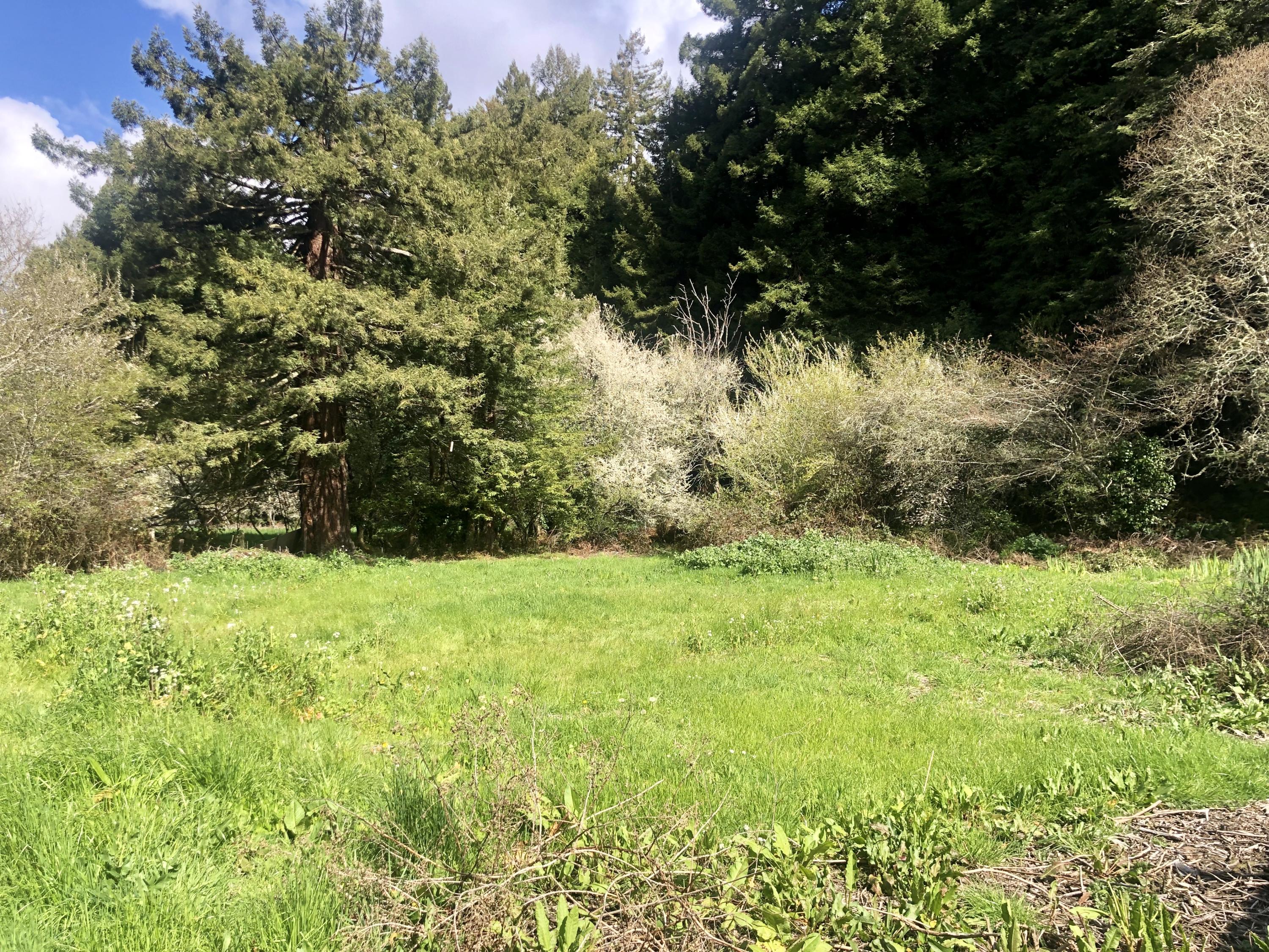 1635 Carson Woods Road Fortuna, CA 95540 - Photo 26 of 27