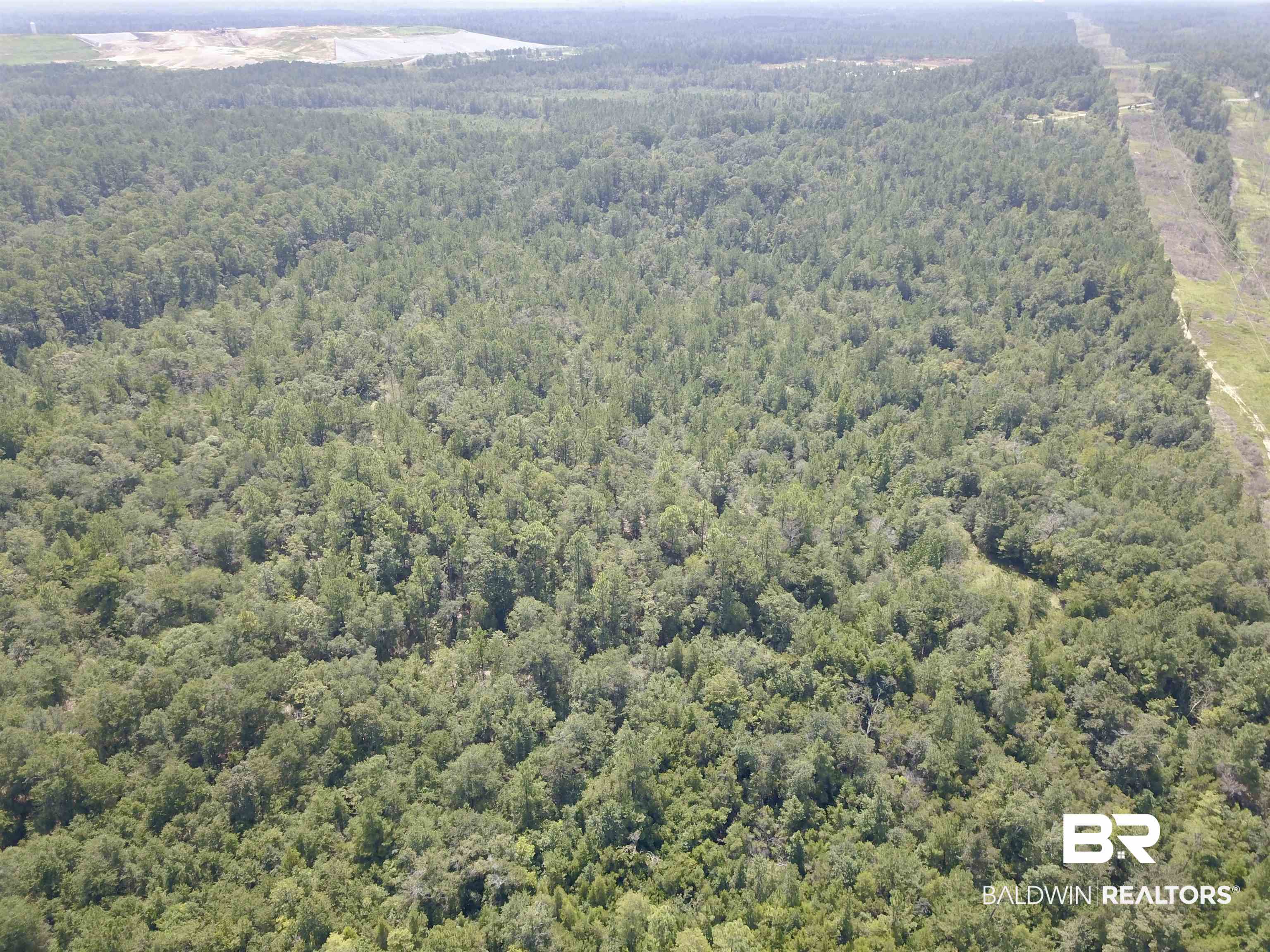 17175 Kelly Road Mount Vernon, AL 36560 - Photo 7 of 30 Bird's eye view