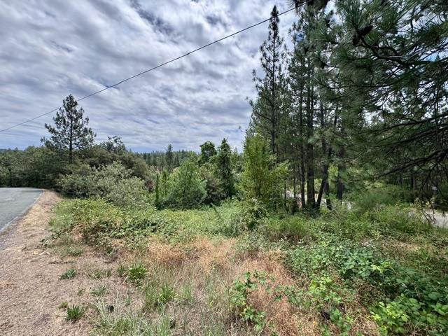 0 Grand View Way Colfax, CA 95713 - Photo 3 of 6