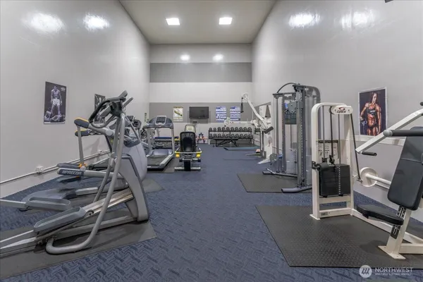 a view of a garden with a slide