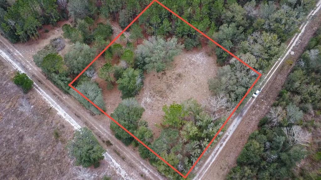 14109 Southwest 134th Avenue Archer, FL 32618 - Photo 1 of 1 a view of a backyard with plants
