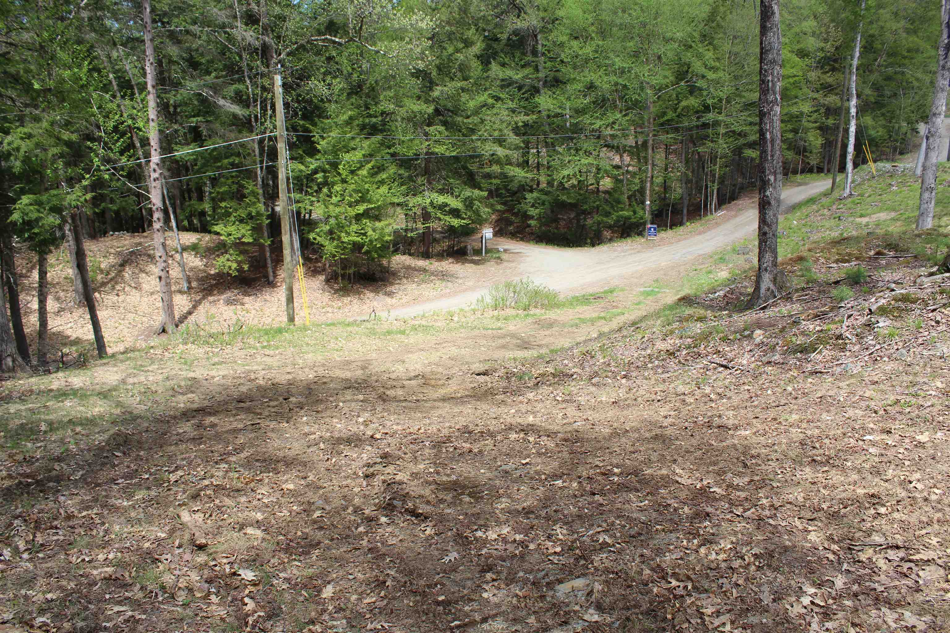 Lot 23-24 Wetherbee Road Lyman, NH 03585 - Photo 44 of 54