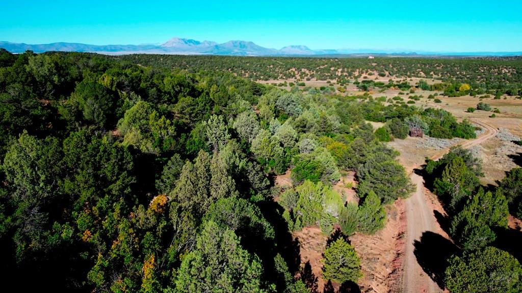Tbd Bear Creek Road Walsenburg, CO 81089 - Photo 18 of 37