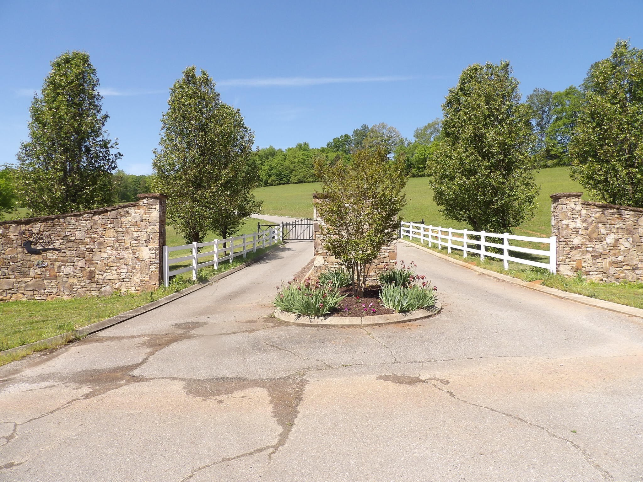 91 Butterfly Cv Trail Decatur, TN 37322 - Photo 4 of 11 a view of a garden with plants and trees