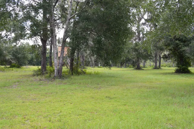 $640,000 | 16131 Highway 19, Lamont, FL 32336