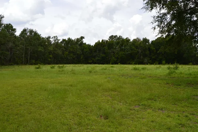 $640,000 | 16131 Highway 19, Lamont, FL 32336