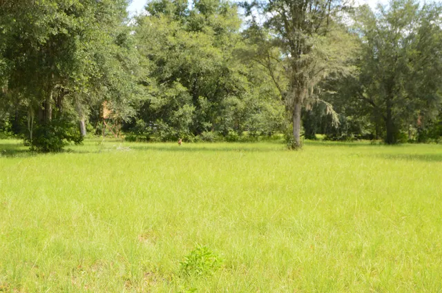 $640,000 | 16131 Highway 19, Lamont, FL 32336