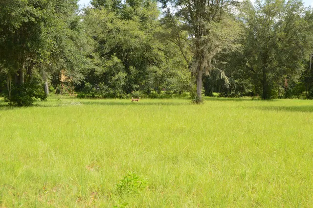 $640,000 | 16131 Highway 19, Lamont, FL 32336