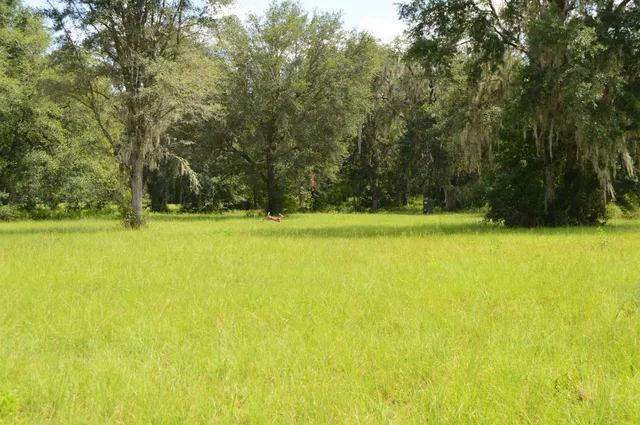 $640,000 | 16131 Highway 19, Lamont, FL 32336