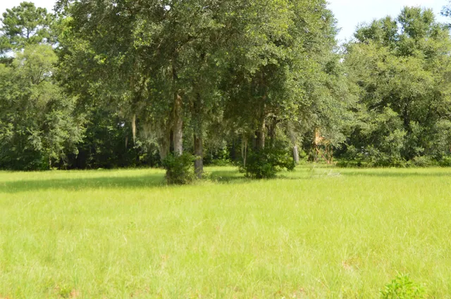 $640,000 | 16131 Highway 19, Lamont, FL 32336