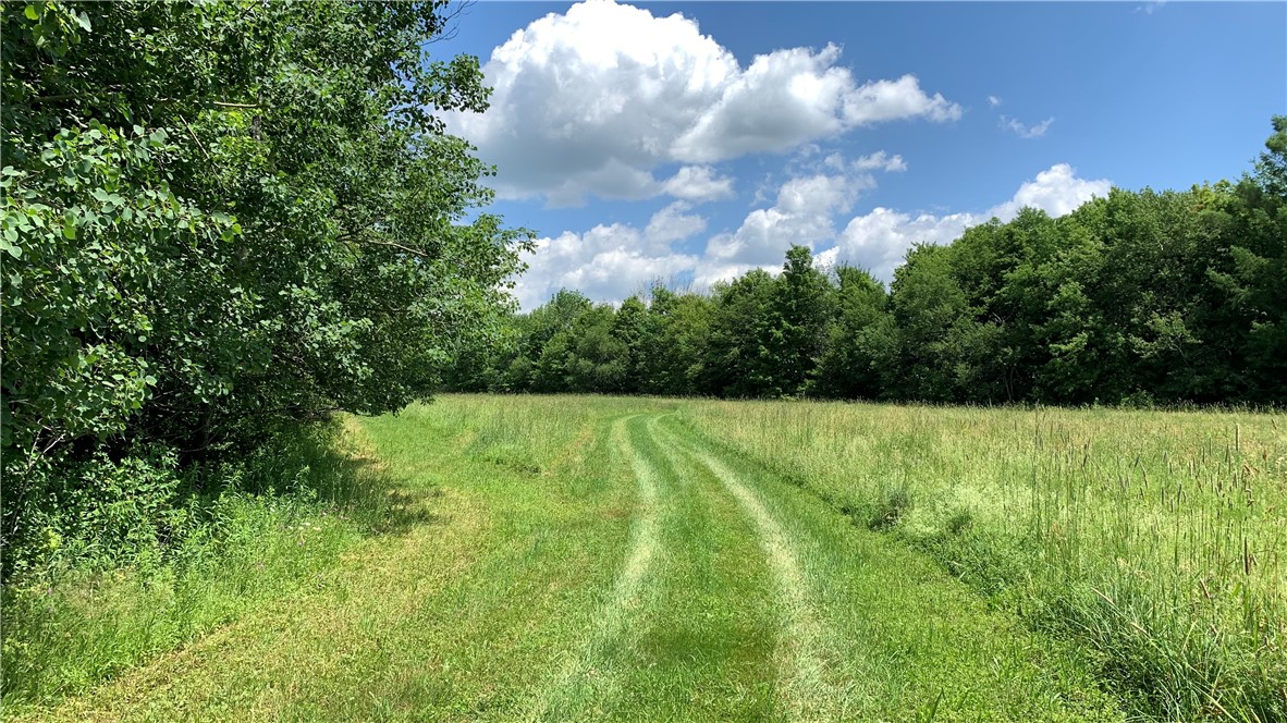 667 Boos Law Road Smyrna, NY 13464 - Photo 41 of 50