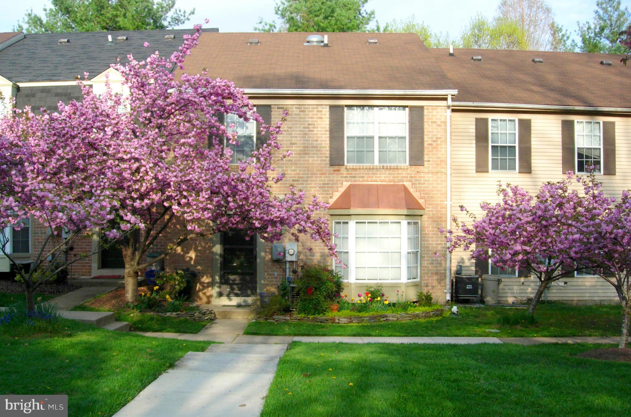 2012 Flowering Tree Terrace Silver Spring, MD 20902 - Photo 1 of 30 Exterior (Front)