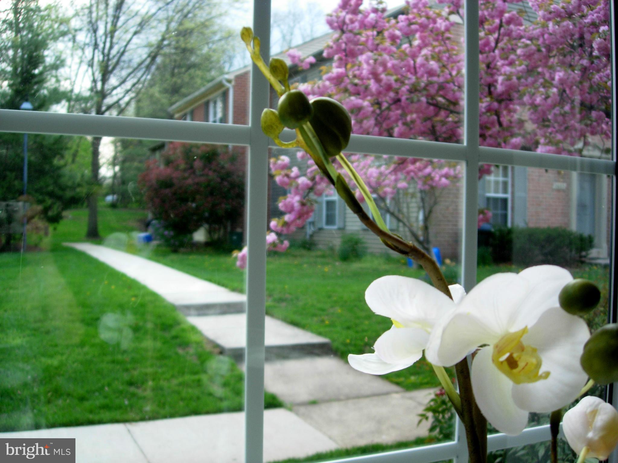 2012 Flowering Tree Terrace Silver Spring, MD 20902 - Photo 3 of 30 View from living room bay window